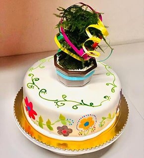 torta de plantas